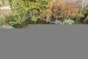 Corridor 60, Zeewolde – Foto 36