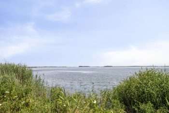 Steenplaat 20, Zeewolde – Foto 28